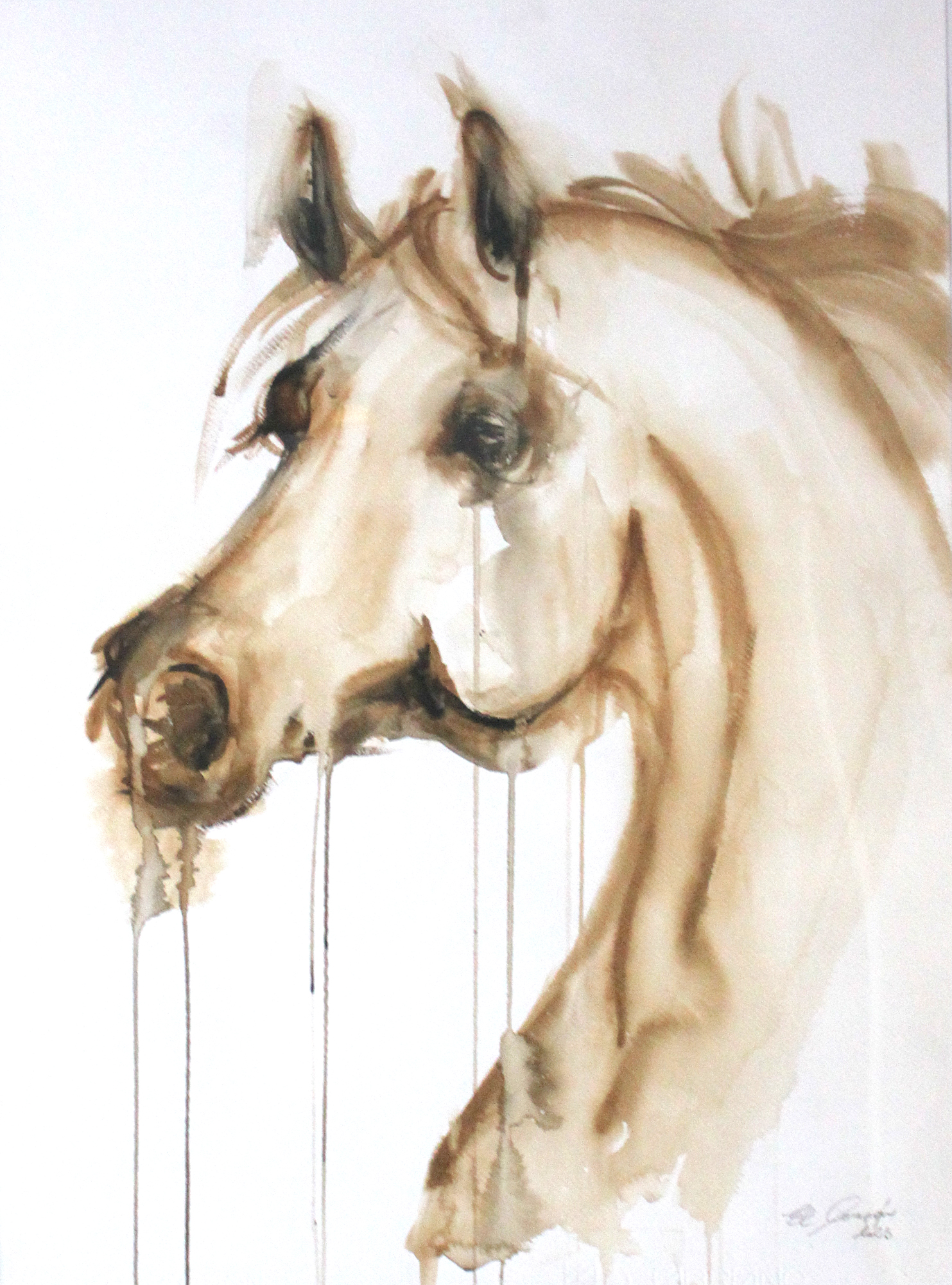 Akvarel kôň