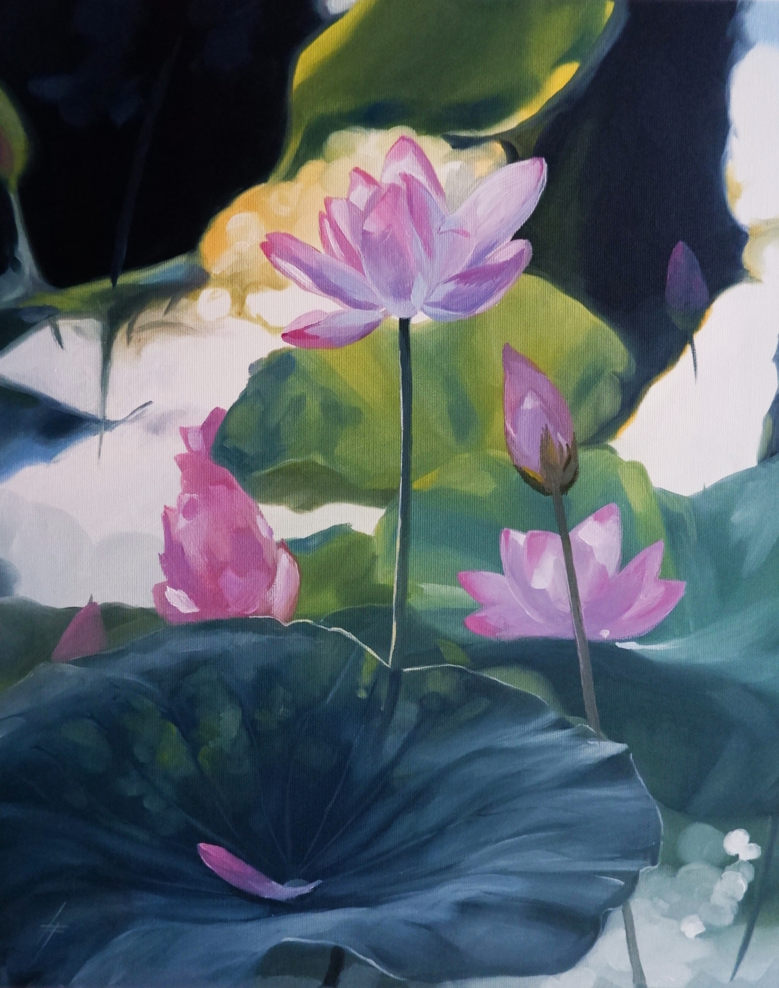 "water lilies" 40x50