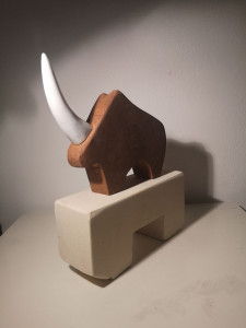 Nosorožec