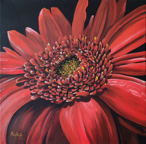 Gerbera v plnom kvete