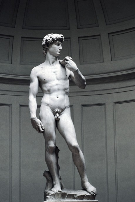 Michelangelo-david